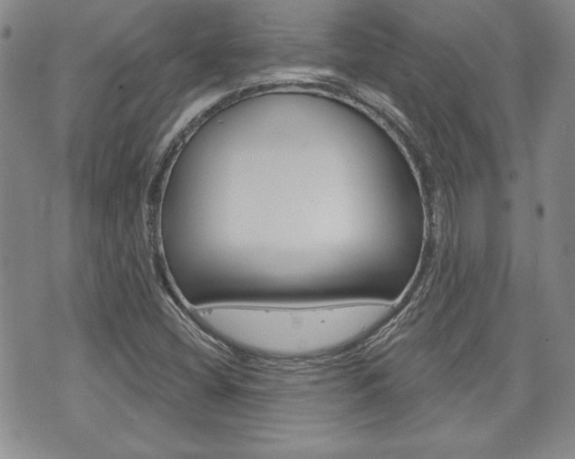 X0000073761404200608031059