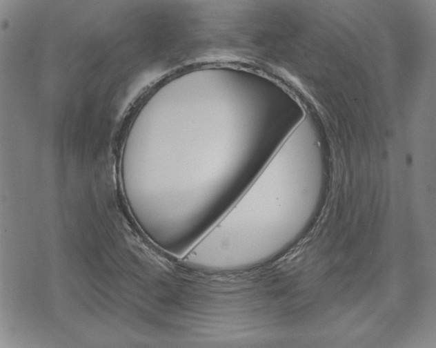X0000073761408200608031059