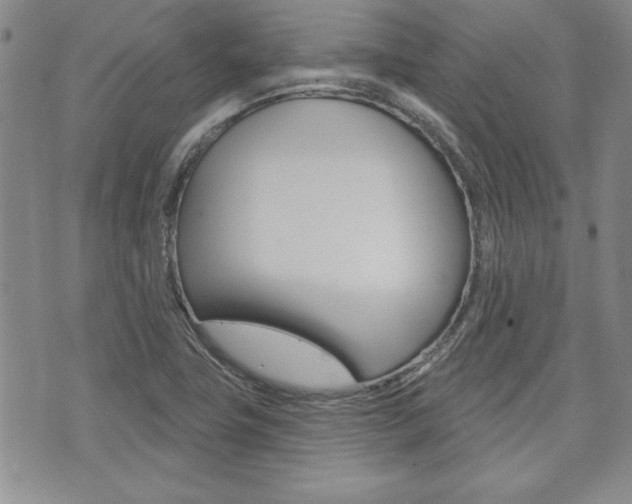 X0000073761411200608031059