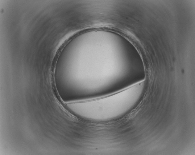 X0000073761412200608031059