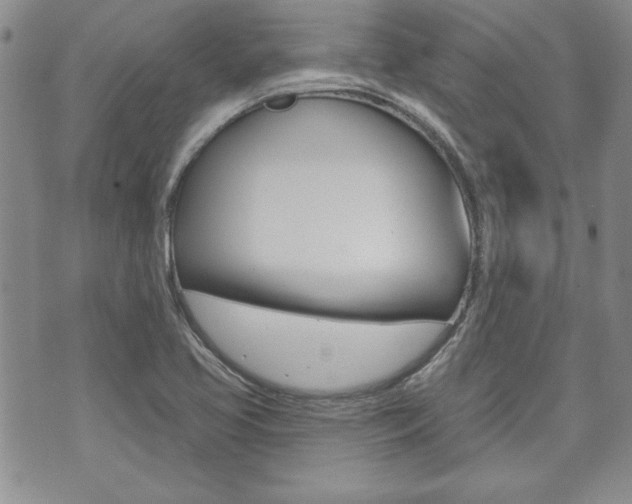 X0000073761413200608031059