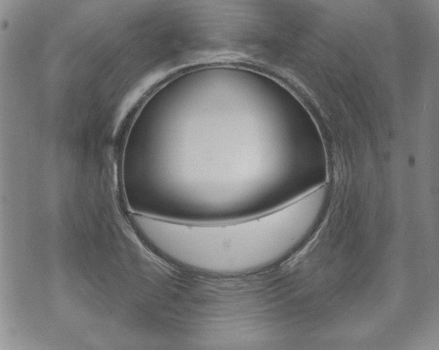 X0000073761414200608031059