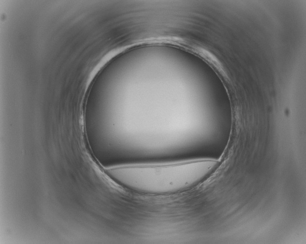 X0000073761428200608031059