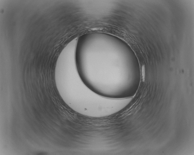 X0000073761443200608031058