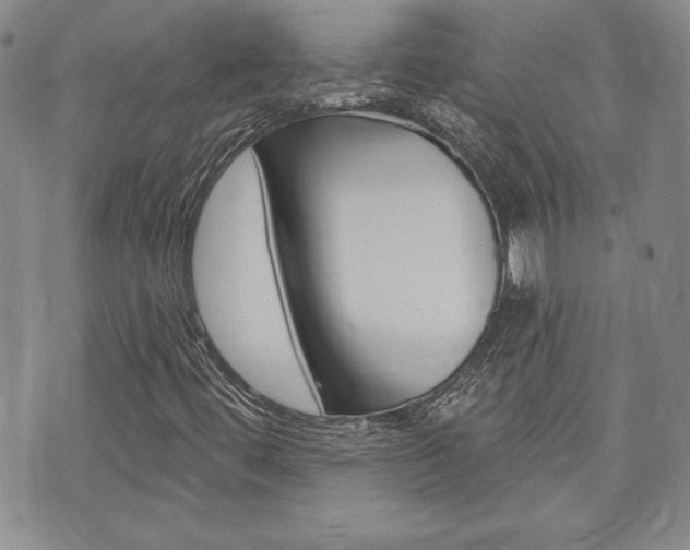 X0000073761444200608031058