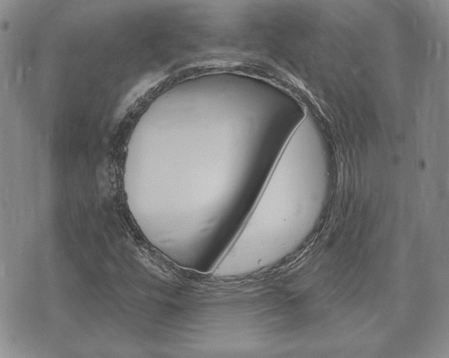 X0000073761448200608031058
