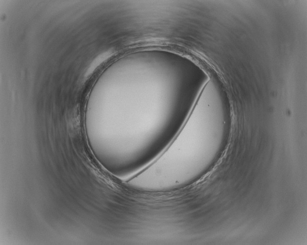 X0000073761450200608031058
