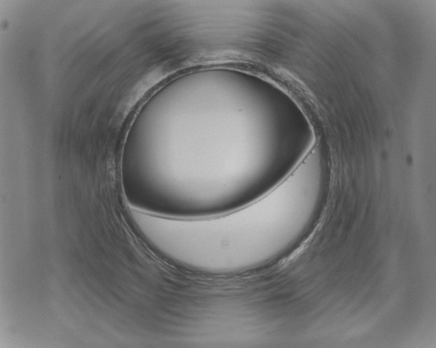 X0000073761457200608031058