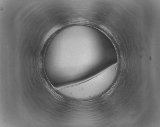 X0000073761458200608031058