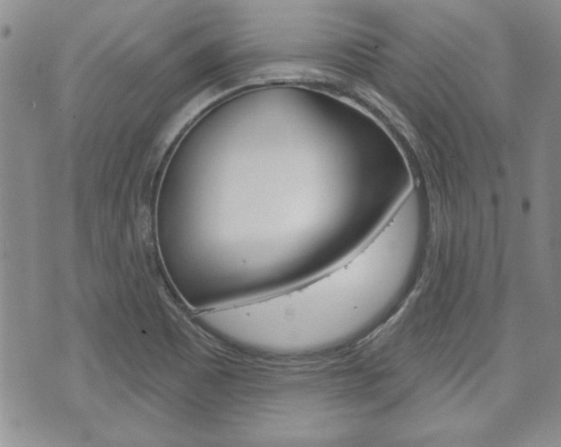 X0000073761465200608031058