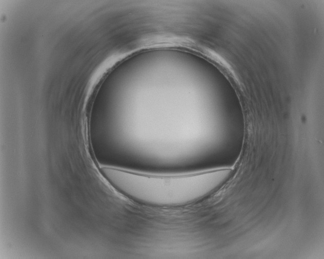 X0000073761472200608031058
