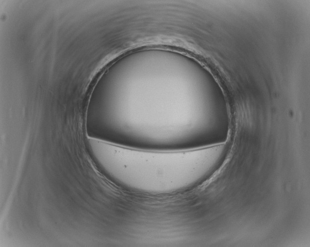 X0000073761505200608031057