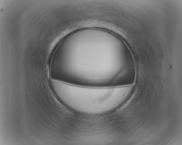 X0000073761509200608031057