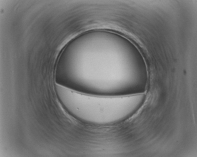 X0000073761513200608031057