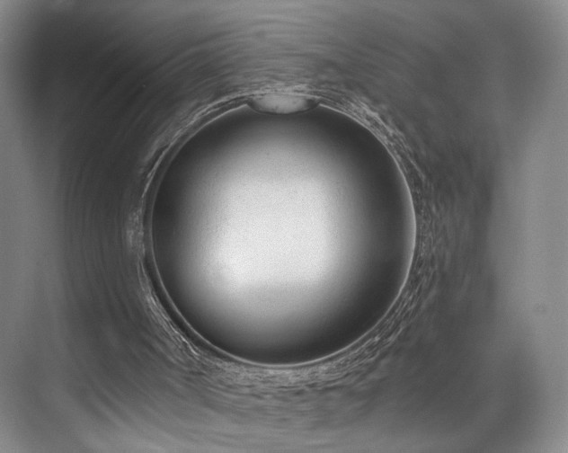 X0000073760002200608031546