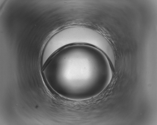 X0000073760003200608031546