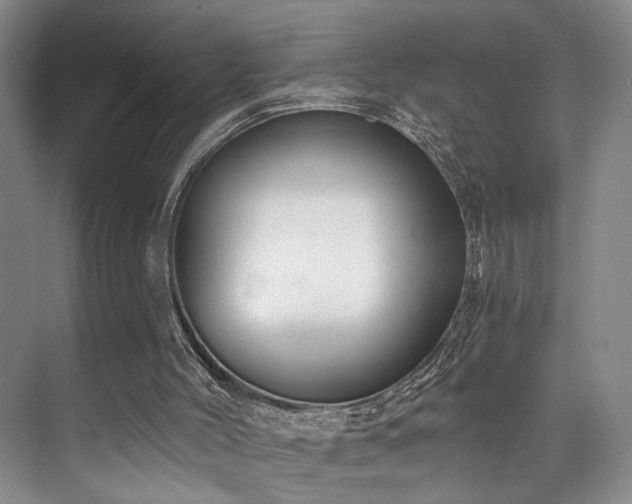 X0000073760004200608031546