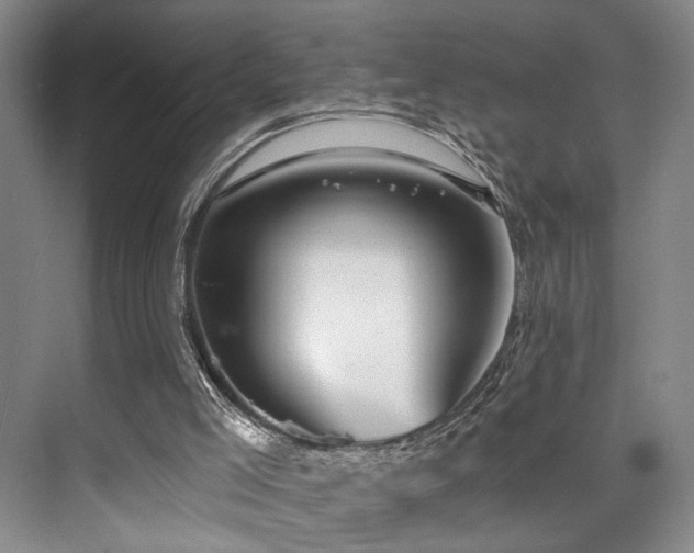 X0000073760005200608031546
