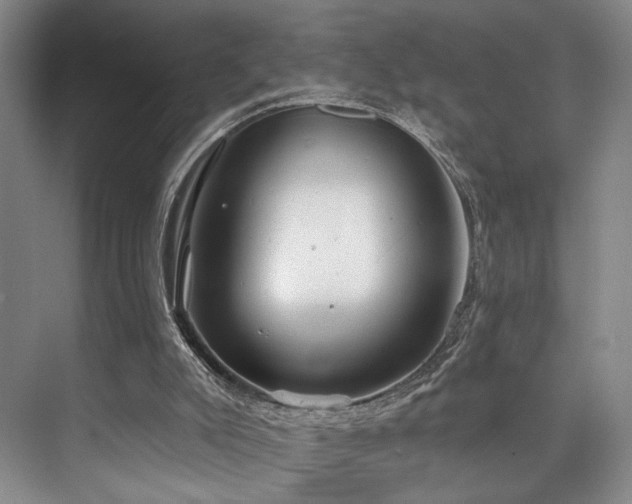 X0000073760007200608031546