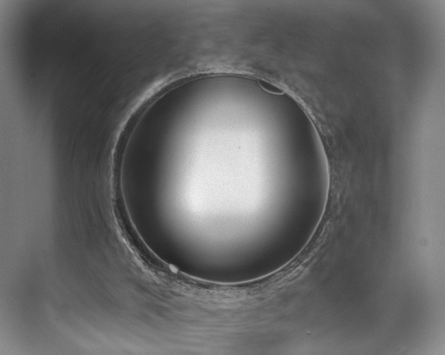 X0000073760008200608031546