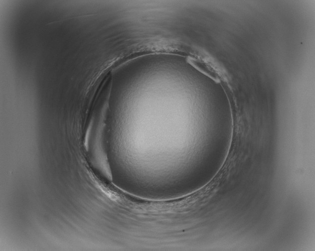 X0000073760009200608031546