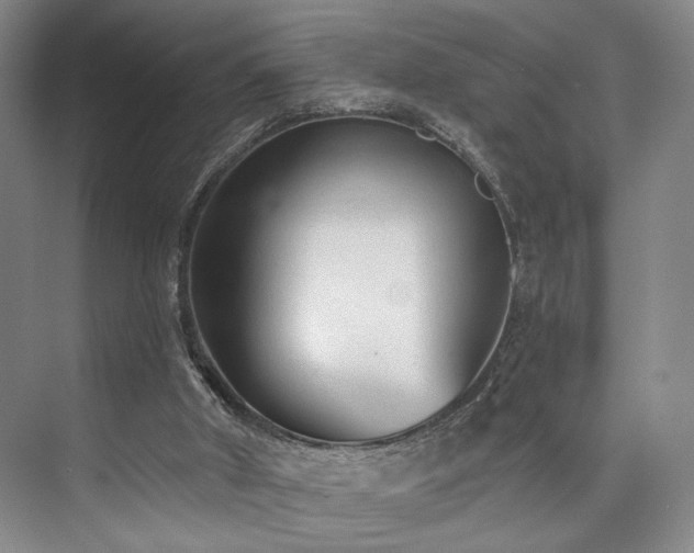 X0000073760010200608031546