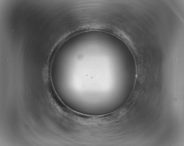 X0000073760012200608031546