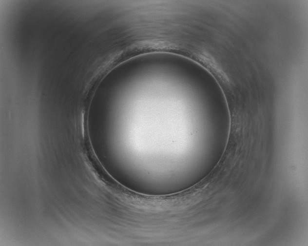 X0000073760014200608031546
