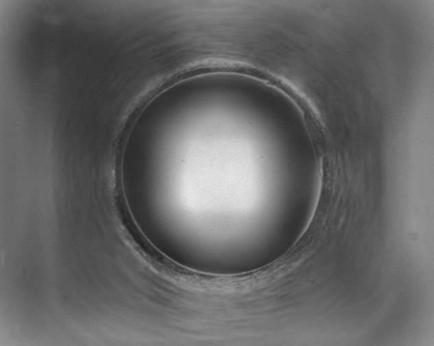 X0000073760015200608031546