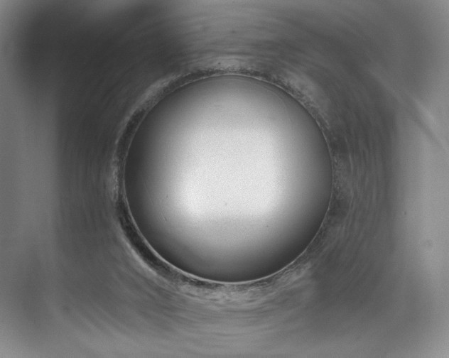 X0000073760016200608031546