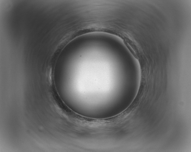 X0000073760024200608031546