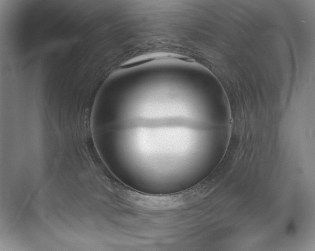 X0000073760034200608031545