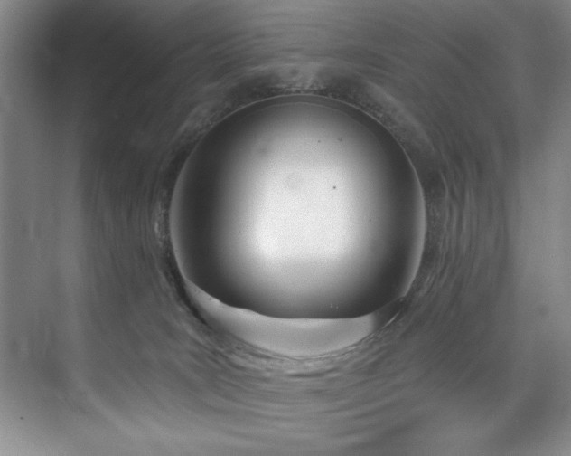 X0000073760035200608031545