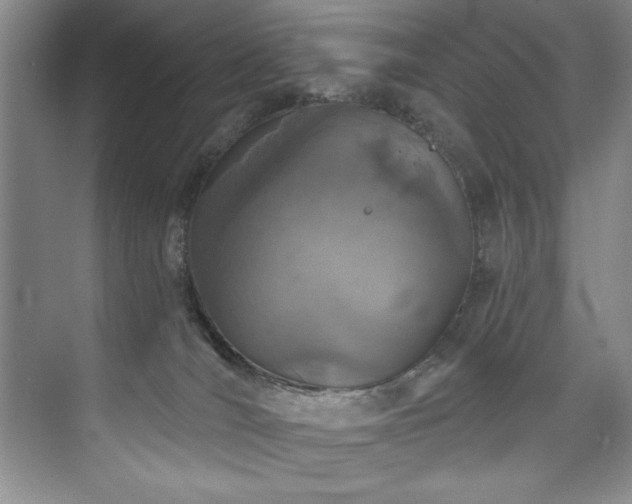 X0000073760036200608031545