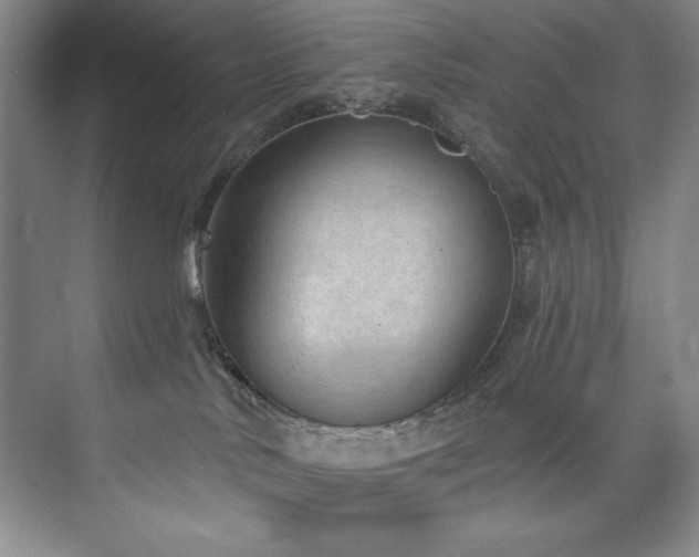 X0000073760042200608031545
