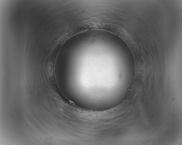 X0000073760043200608031545
