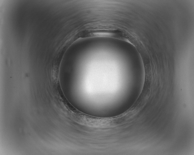 X0000073760044200608031545
