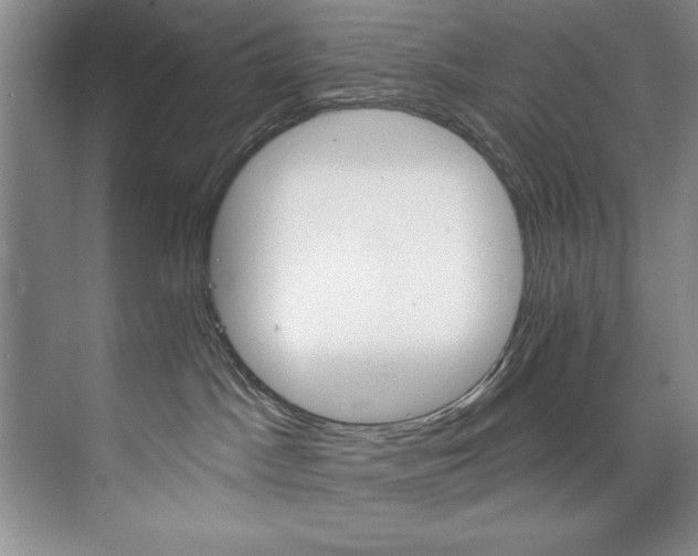X0000073760045200608031545