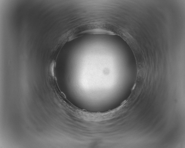 X0000073760047200608031545