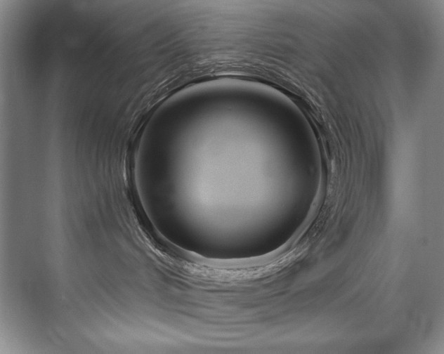 X0000073760048200608031545