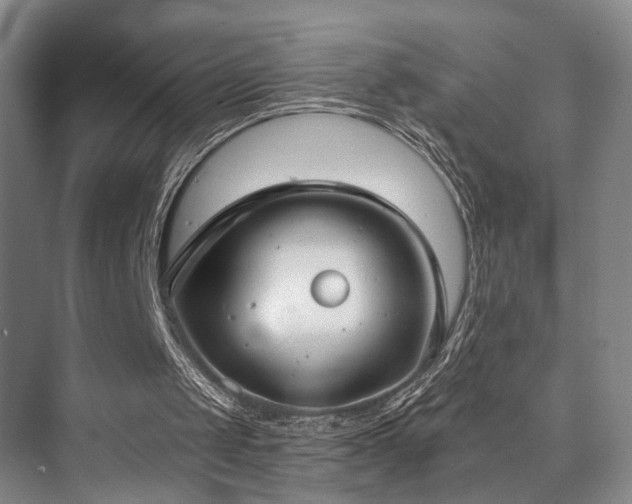 X0000073760049200608031544