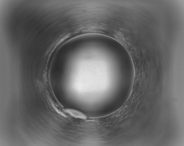 X0000073760050200608031544