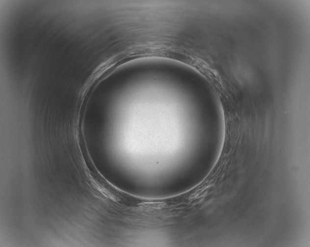 X0000073760051200608031544