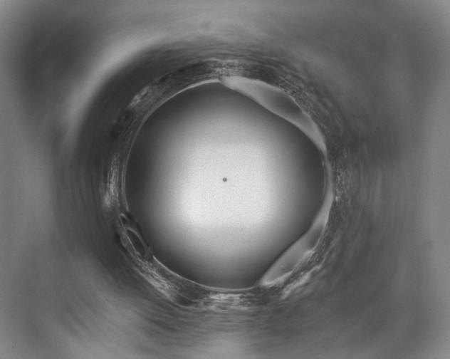 X0000073760052200608031544