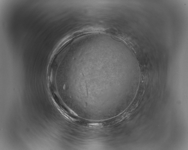 X0000073760053200608031544