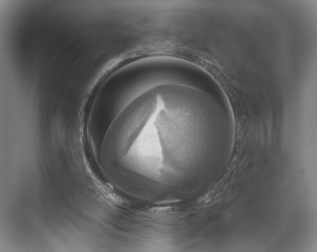 X0000073760054200608031544