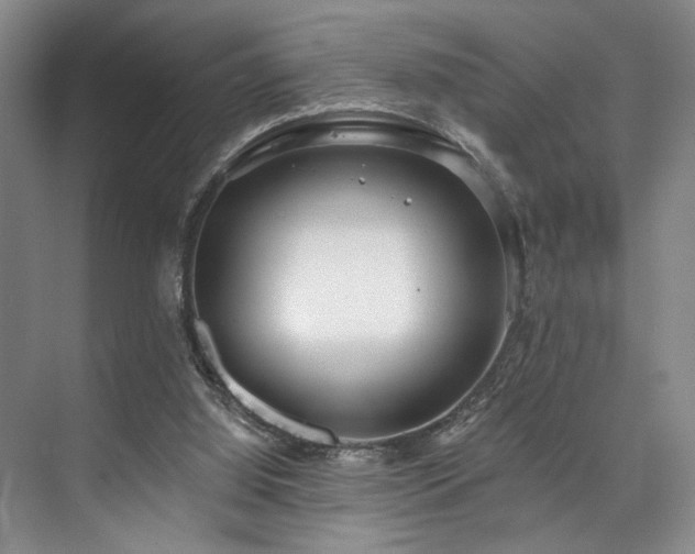 X0000073760060200608031545