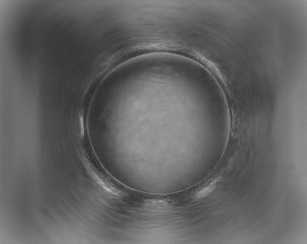X0000073760061200608031545