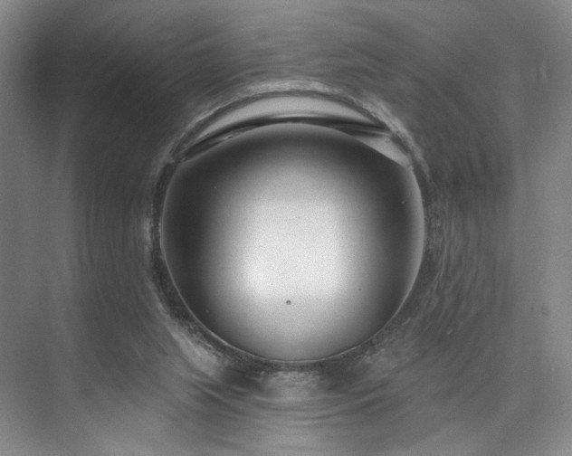 X0000073760063200608031545