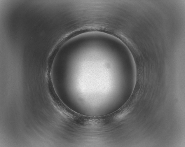 X0000073760064200608031545